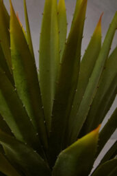 Orsina Fiori Agave Succulent Artificial Plant Foliage - thumbnail 5
