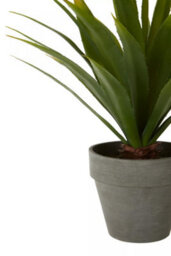 Orsina Fiori Agave Succulent Artificial Plant Foliage - thumbnail 6