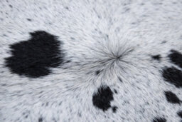 Modlux Natural Cowhide Rug, Black And White, 100% Australian Cow Fur Skin Carpet Area Rug (X-Large (25-29 Sq Ft)) - thumbnail 2