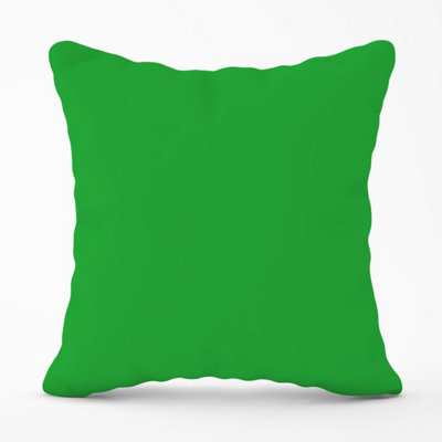 Warren Reed Designer Clover Green Outdoor Cushion 45Cm X 45Cm - image 1