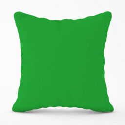 Warren Reed Designer Clover Green Outdoor Cushion 45Cm X 45Cm - thumbnail 1