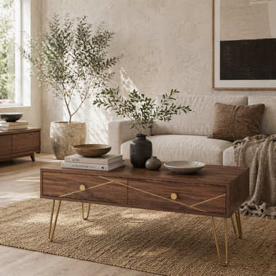 Wyld Haus Susele Brown Rectangular Coffee Table With 2 Drawers And Gold-Tone Hairpin Legs - image 1