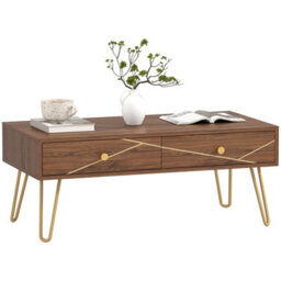 Wyld Haus Susele Brown Rectangular Coffee Table With 2 Drawers And Gold-Tone Hairpin Legs - thumbnail 2