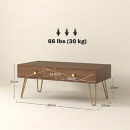 Wyld Haus Susele Brown Rectangular Coffee Table With 2 Drawers And Gold-Tone Hairpin Legs - thumbnail 3