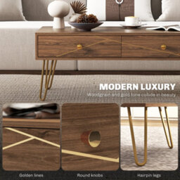 Wyld Haus Susele Brown Rectangular Coffee Table With 2 Drawers And Gold-Tone Hairpin Legs - thumbnail 4