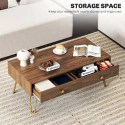 Wyld Haus Susele Brown Rectangular Coffee Table With 2 Drawers And Gold-Tone Hairpin Legs - thumbnail 5