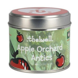 Thelwell Apple Spice Scented Candle Spice (190G)