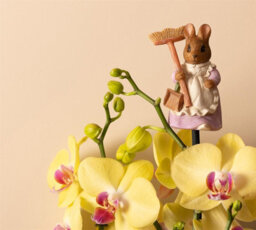 Jardinopia Beatrix Potter Hunca Munca Cane Or Stake Topper (Ccbp0008C) - L5.5 X W4 X H9 Cm - thumbnail 4