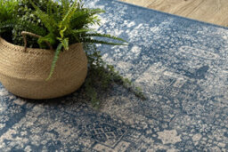 RugsX Carpet Wool Nain Ornament Vintage 7591/51644 Navy / Beige   240X340 Cm - thumbnail 5