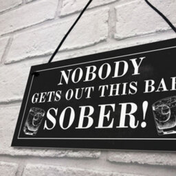 Red Ocean Funny Bar Sign For Home Hanging Garden Pub Plaque Gin Wine Gift - thumbnail 7