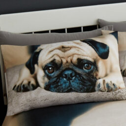 Gc Gaveno Cavailia 3D Lazy Pug Duvet Cover Bedding Set Double 3Pc With Matching Pillowcases - thumbnail 2
