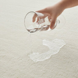 Bedlooms Cream Pashmina Runner 80X150Cm, Soft Thick Piles, Hypoallergenic Hallway Rug And Runner Area Rug - thumbnail 6