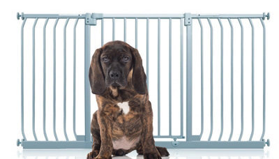 Bettacare Elite Pressure Dog Gate, 152Cm - 161Cm, Matt Grey, Pressure Fit Pet Gate For Dog And Puppy - image 1