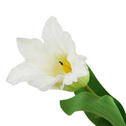 Hill Interiors The Natural Garden Collection Parrot Tulip Artificial Flower White/green (One Size) - thumbnail 3