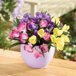Gainsborough Set Of 3 Artificial Crocus Flower Picks In Yellow Pink And Purple, Weather Resistant For Pots Tubs & Window Boxes, H32Cm