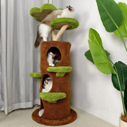 Cat Tree Tower Scratching Post Scratcher Branch Cat Condo House Bed Furniture Xl - 61X148Cm - thumbnail 5