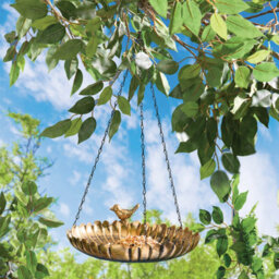 Gainsborough 2-In-1 Bronze Effect Metal Hanging Bird Feeder And Bird Bath, Flower Shaped, Chain And Hook Included, Dia. 25.5Cm - thumbnail 1