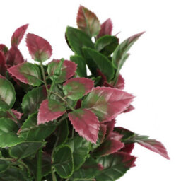 True Products Artificial Photinia Red Robin Branch 26Cm - thumbnail 2
