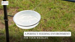 Divchi Bird Feeder With 2 Dishes, Bird Feeders Hanging Station, Bird Feeder Pole, Bird Feeding Station - thumbnail 4