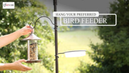 Divchi Bird Feeder With 2 Dishes, Bird Feeders Hanging Station, Bird Feeder Pole, Bird Feeding Station - thumbnail 5