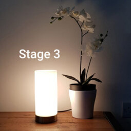 K Living Kliving Lonsdale E14-40W Brass/white Glass Pad Table Lamp - thumbnail 5