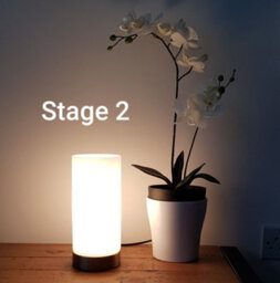 K Living Kliving Lonsdale E14-40W Brass/white Glass Pad Table Lamp - thumbnail 4