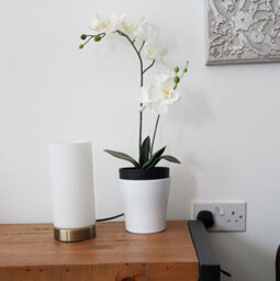 K Living Kliving Lonsdale E14-40W Brass/white Glass Pad Table Lamp - thumbnail 6