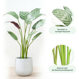 MCC Direct Artificial Plant Bird Of Paradise Tree Indoor House Plant 160Cm - thumbnail 3
