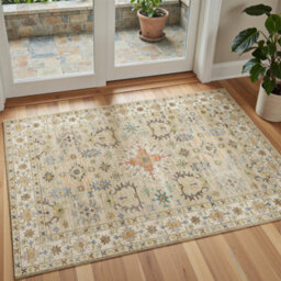 Decoranddecor Rug, Washable Rugs, Kitchen Rugs, Bath Mats, 60X90Cm, Non-Slip, Pet Friendly, Low Pile, Traditional Rug - Tessia - thumbnail 1