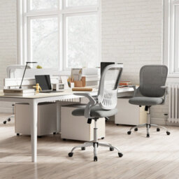 Gainoom Height Adjustable Swivel Desk Chair Ergonomic Breathable Mesh Chair Home Office Chair - thumbnail 3