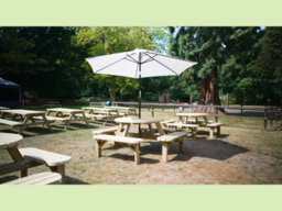Mg Timber Products: Premium Quality, 8 Seater Round Picnic Bench, Pub Table. Made From Pressure Treated, Swedish Redwood. - thumbnail 8