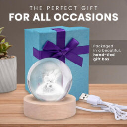 Cuqoo Led Crystal Ball Lamp 6Cm 3D Engraved Astronaut Night Light With Usb Or Battery Base Unique Gift & Home Decor Light - thumbnail 4