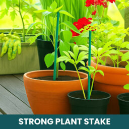 Oakland Gardens 50 X 18 Inch Green Stained Split Bamboo Plant Canes - thumbnail 2