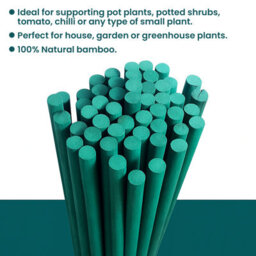 Oakland Gardens 50 X 18 Inch Green Stained Split Bamboo Plant Canes - thumbnail 5