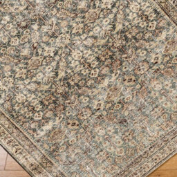 Livabliss Galey Alix Collins Avenue-Vintage Green Brown Beige Traditional Vintage Boho Fringe Living Dining Bedroom Rug 157 X 213 Cm - thumbnail 6