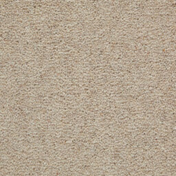 Weald Park Gold 80/20 Wool Twist Pile Carpet By Remland (Chalk, 5M X 4M)