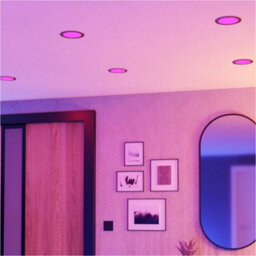 Loops Elegant Satin Nickel Ceiling Spotlight For Modern Home Décor - Versatile Indoor Lighting - thumbnail 7