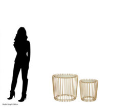 Orsina Set Of 2 Champagne Wireframe Side Tables, Gold With Mirrored Tops Bedside Tables, End Tables For Lounge - thumbnail 6
