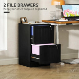 2 Drawer File Cabinet With Lock And Adjustable Hanging Bars - thumbnail 6