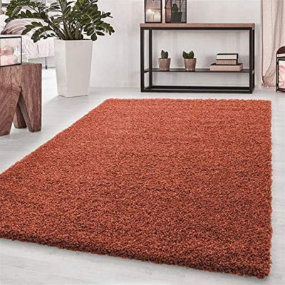 Wadan 120X170Cm Terracotta Shaggy Rug, Rectangular Soft Touch Thick Pile Modern Area Rug, Rugs For Living & Bedroom Non Shedding - image 1