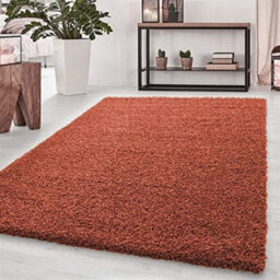Wadan 120X170Cm Terracotta Shaggy Rug, Rectangular Soft Touch Thick Pile Modern Area Rug, Rugs For Living & Bedroom Non Shedding - thumbnail 1