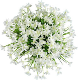 6 Packs Artificial Orchid Flowers, Plastic Plants For Wedding Bridle Bouquet Outdoor Home Garden Kitchen Office Table Vase White - thumbnail 2