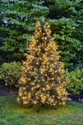 Christmas Tree World The 8Ft/240Cm Pre-Lit Outdoor Woodland Pine Tree
