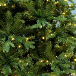 Christmas Tree World The 8Ft/240Cm Pre-Lit Outdoor Woodland Pine Tree - thumbnail 5