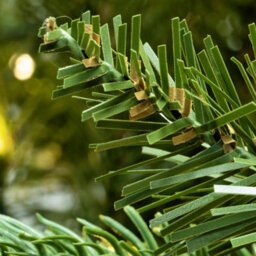 Christmas Tree World The 8Ft/240Cm Pre-Lit Outdoor Woodland Pine Tree - thumbnail 9