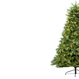 Christmas Tree World The 8Ft/240Cm Pre-Lit Outdoor Woodland Pine Tree - thumbnail 7
