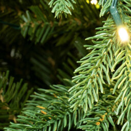 Christmas Tree World The 8Ft/240Cm Pre-Lit Outdoor Woodland Pine Tree - thumbnail 8