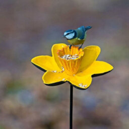 Selections Cast Iron Daffodil Dish Wild Bird Feeders (Set Of 5) - thumbnail 3