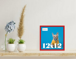 12X12 Red Picture Frame (30.5 X 30.5Cm) Poster, Photo, Artwork, Gallery Wall Or Print - thumbnail 2