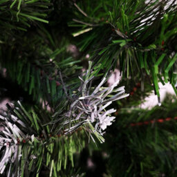 Snowtime Colorado Spruce Frosted Christmas Tree Green - 7Ft/210Cm - thumbnail 2